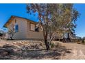 Exterior shot of a home with natural desert landscaping and a large tree at 48451 N 27Th Ave, New River, AZ 85087