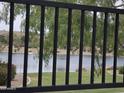 Scenic backyard view through black metal railing, showcasing the lake and lush greenery at 5088 S Ponderosa Dr, Gilbert, AZ 85298