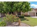 Charming single-story home boasts lush landscaping, a well-maintained lawn, and a welcoming curb appeal at 1161 N Cole Dr, Gilbert, AZ 85234