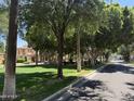 Scenic street view of a neighborhood with mature trees, green lawns, and charming homes at 21183 W Main St, Buckeye, AZ 85396