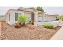 Well-manicured front yard with decorative rock landscaping, shrubs, and palm tree at 605 W Sandra Terrace Ter, Phoenix, AZ 85023