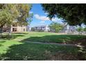 Community green space offering grassy play area with mature trees creating natural shade and comfortable outdoor living at 8202 N 21St Dr # B101, Phoenix, AZ 85021