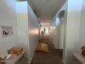 Light and airy hallway with arched doorways leading to the living areas at 2981 S 257Th Ave, Buckeye, AZ 85326