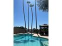 Refreshing backyard pool with tall palm trees and gazebo, creating a private retreat at 5143 W Mountain View Rd, Glendale, AZ 85302
