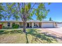 Charming single-story home with lush lawn, mature tree, and inviting curb appeal on a sunny day at 2046 E Downing St, Mesa, AZ 85213