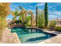 Backyard pool featuring patio, stone accents, and mature desert landscaping at 725 S Canfield --, Mesa, AZ 85208