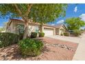 Well-maintained home featuring a spacious driveway, beautiful landscaping, and mature trees at 29161 N Lilly Ln, San Tan Valley, AZ 85143