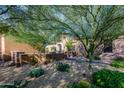 Landscaped front yard with desert plants and trees, providing shade and natural beauty to the home at 35443 N 87Th Pl, Scottsdale, AZ 85266