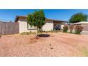 Landscaped front yard featuring mature shade tree, desert landscaping, and covered entry at 4403 N 56Th Dr, Phoenix, AZ 85031
