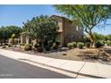 Side view of a well-maintained home with desert landscaping and mature trees providing shade at 3664 E Narrowleaf Dr, Gilbert, AZ 85298