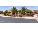 Beautiful single-story house featuring palm trees, desert landscaping, and meticulous curb appeal at 27380 N 128Th Ln, Peoria, AZ 85383