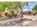 Well-maintained home featuring a stone walkway and desert-friendly landscaping at 3029 E Patrick St, Gilbert, AZ 85295