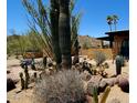 Lush desert landscaping featuring a variety of cacti and succulents, providing a tranquil outdoor setting at 9607 E Mckellips Rd, Mesa, AZ 85207