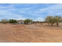 Expansive desert property featuring native trees, a gravel driveway, and a well-maintained residence at 10849 E Elmwood St St, Mesa, AZ 85207