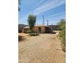 View of the home's backyard, featuring gravel and a partially shaded area from the overhanging trees at 2825 E Adams St, Phoenix, AZ 85034
