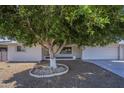 Charming single-story home features a well-maintained front yard with mature trees and a two-car garage at 5657 E Dallas St, Mesa, AZ 85205