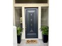 Stylish black front door framed by green plants and a 'hello' doormat, flanked by windows for ample natural light at 7214 E Rustling Pass, Scottsdale, AZ 85255