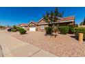 Quaint single-story home featuring a two-car garage and a low maintenance landscaped front yard with shrubs and gravel at 1147 N Marvin St, Gilbert, AZ 85233