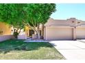 Charming home with mature shade tree, low stucco walls, and lush green grass at 1861 E Bendix Dr, Tempe, AZ 85283