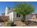 Beautifully landscaped front yard with desert landscaping and mature tree at 5330 W Thresher Way, Laveen, AZ 85339