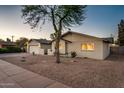 A charming single-story home featuring desert landscaping and an inviting facade with a decorative tree at 8408 E Rancho Vista Dr, Scottsdale, AZ 85251