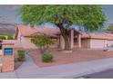 Well-maintained single-story home with mature landscaping, desert yard and inviting entrance at 7833 S Kenneth Pl, Tempe, AZ 85284