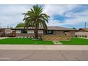 Charming single-story home with lush green lawn and mature trees adding character and curb appeal at 8214 E Northland Dr, Scottsdale, AZ 85251