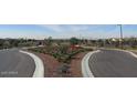 Landscaped entrance to the neighborhood with decorative plants and manicured flowerbeds along a winding road at 9137 W Sells Dr, Phoenix, AZ 85037