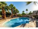 A relaxing swimming pool with palm trees and desert landscaping at 41847 W Sparks Ct, Maricopa, AZ 85138