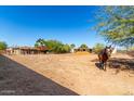 Expansive yard with horse and mature trees, offering a serene and spacious outdoor setting at 12423 N 64Th St, Scottsdale, AZ 85254
