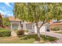 Charming single-Gathering home with a mature shade tree, lush lawn, and a well-maintained front yard landscape at 16622 S 32Nd Pl, Phoenix, AZ 85048