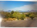 Scenic view of a neighborhood with lush green trees and bushes with mountains in the background at 8653 S 51St St # 2, Phoenix, AZ 85044