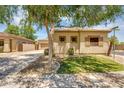 Charming single-story home with a tile roof, manicured lawn, and mature shade tree at 948 E Savannah Dr, Chandler, AZ 85225
