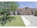 Beautiful single-story house with lush grass and desert landscaping in the front yard at 1210 W Betty Elyse Ln, Phoenix, AZ 85023