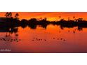 Scenic waterfront view at sunset featuring a peaceful lake with ducks and silhouetted palm trees at 1241 W Lobster Trap Dr, Gilbert, AZ 85233