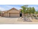 A single-story home with desert landscaping, a three car garage and a front door with decorative glass at 16219 S 14Th Way, Phoenix, AZ 85048