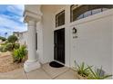 A front door and entryway featuring decorative columns, mature landscaping, and neutral paint at 3315 E Taro Ln, Phoenix, AZ 85050