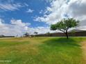 Expansive green community park with playground, desert landscaping and clear blue sky at 19422 N Fiano Dr, Maricopa, AZ 85138