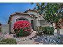 Well maintained front yard with a large flowering bush and desert landscaping at 3812 W Carlos Ln, San Tan Valley, AZ 85144