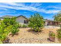 View of a charming single story home featuring beautiful landscaping and a spacious front yard at 4028 W El Camino Dr, Phoenix, AZ 85051