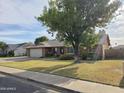 Charming brick home with lush front lawn, mature tree, and inviting entryway at 664 N Glenview --, Mesa, AZ 85213