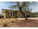 Single-story home with decorative rock landscaping, mature desert landscaping and a light green exterior at 13428 N 100Th Ave, Sun City, AZ 85351
