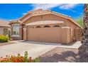 Home exterior showing tan garage door with concrete driveway, plants and brown rock landscaping at 3913 E Derringer Way, Gilbert, AZ 85297