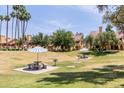 Beautiful community area with picnic tables, umbrellas, and lush green grass at 4901 S Calle Los Cerros Dr # 220, Tempe, AZ 85282