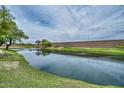 Scenic pond view surrounded by green grass, trees, and a decorative block wall for added privacy and aesthetic appeal at 7949 W Wescott Dr, Glendale, AZ 85308