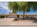 Beautiful single-Gathering home with a two-car garage, desert landscaping, and a privacy wall in front yard at 12831 W Maplewood Dr, Sun City West, AZ 85375