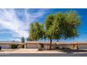 Charming single story home with a two-car garage, desert landscaping, and privacy wall in front at 12831 W Maplewood Dr, Sun City West, AZ 85375