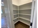 Walk-in pantry featuring multiple tiers of white shelving, and light brown wood-look tile flooring at 7243 E Cattle Call St, San Tan Valley, AZ 85143