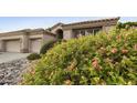Landscaped front yard featuring vibrant flowering shrubs and rock accents at 7262 W Firebird Dr, Glendale, AZ 85308