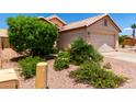 Landscaped front yard with colorful flower beds enhancing curb appeal at 11622 W Buck Mountain Ct, Surprise, AZ 85378
